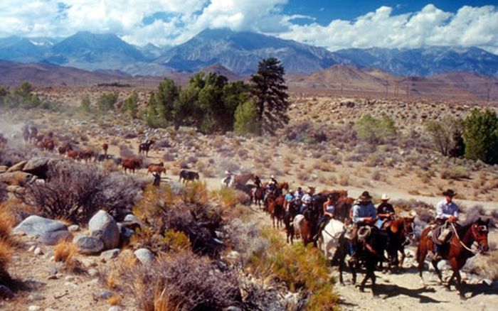 High Sierra's Packhorse Tours