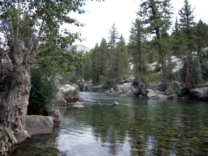 High Sierra's Packhorse Tours