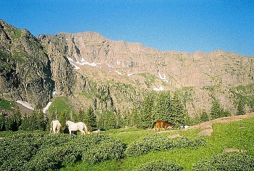 Sangre de Cristo Pack Trips