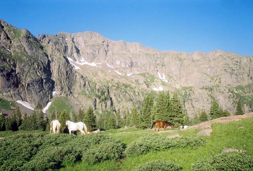 Sangre de Cristo Pack Trips