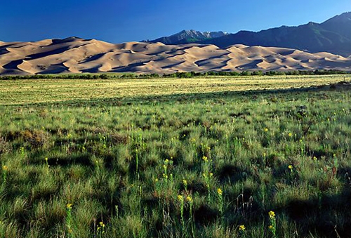 Great sand Dunes National Park Adventure Ride
