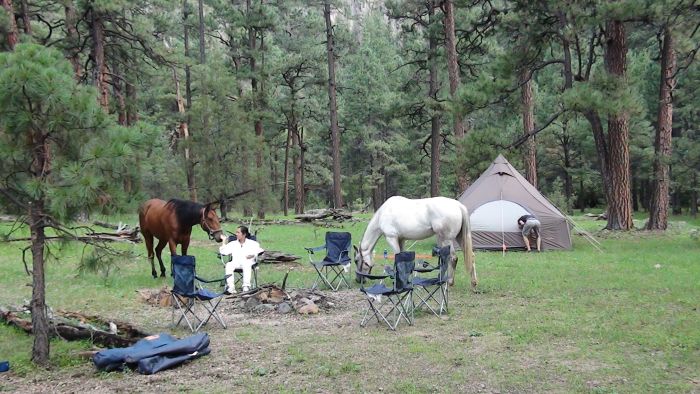 Gila and Blue Wilderness Rides Accomodation