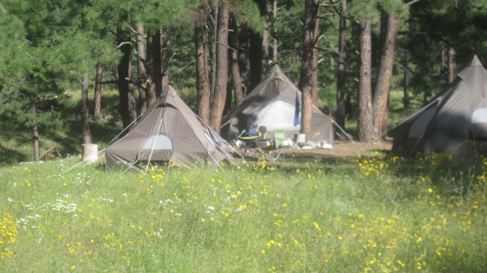 Gila and Blue Wilderness Rides Accomodation