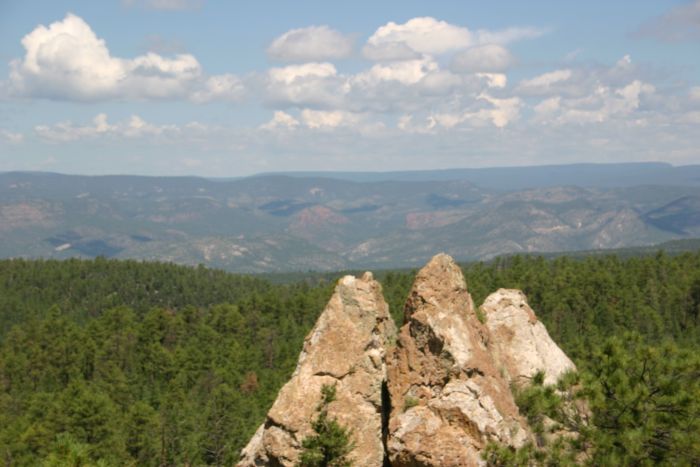 Gila and Blue Wilderness Rides