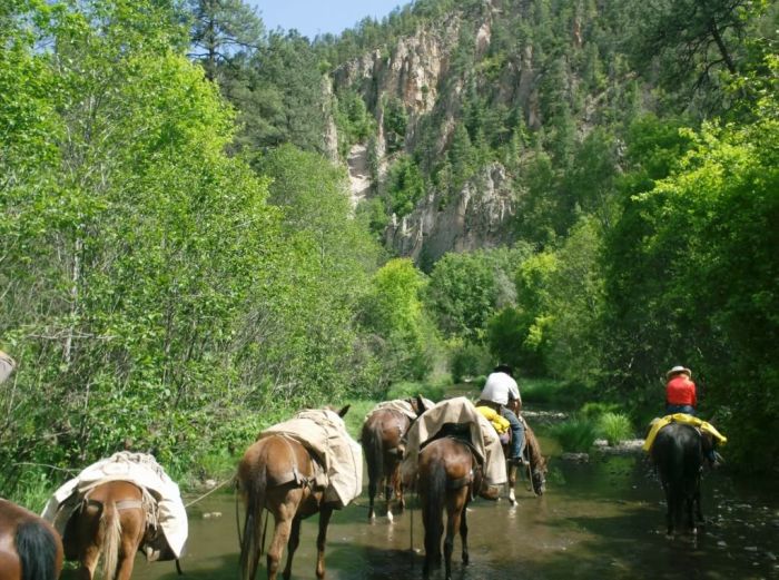 Gila and Blue Wilderness Rides