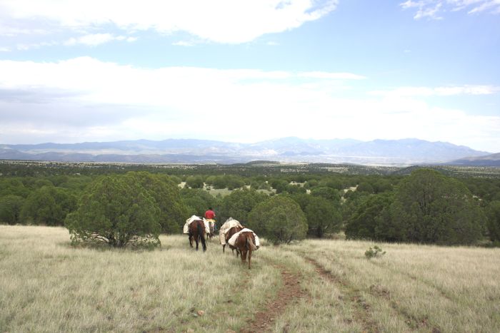 Gila and Blue Wilderness Rides