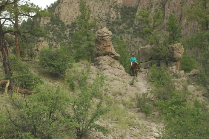 Gila and Blue Wilderness Rides