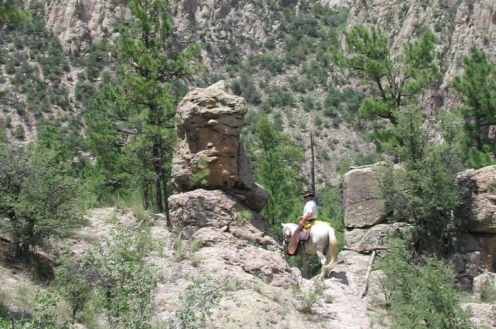 Gila and Blue Wilderness Rides
