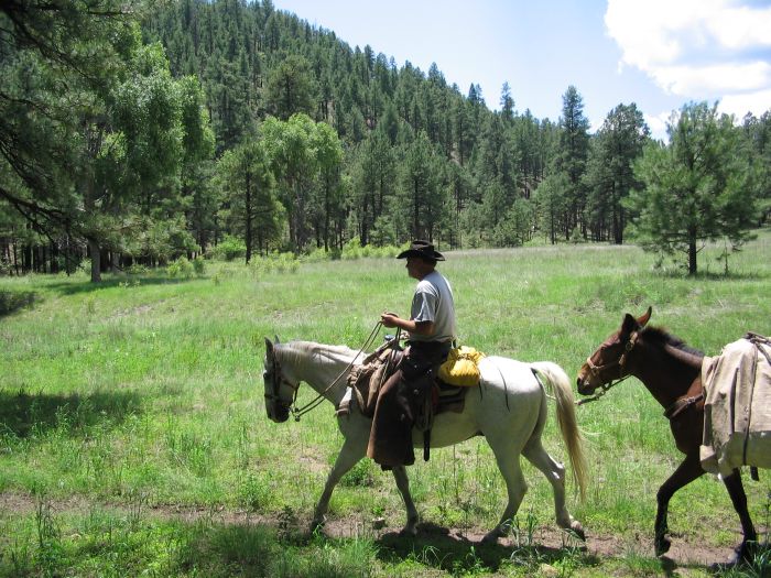 Gila and Blue Wilderness Rides
