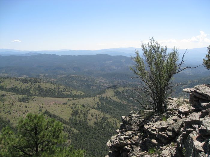 Gila and Blue Wilderness Rides
