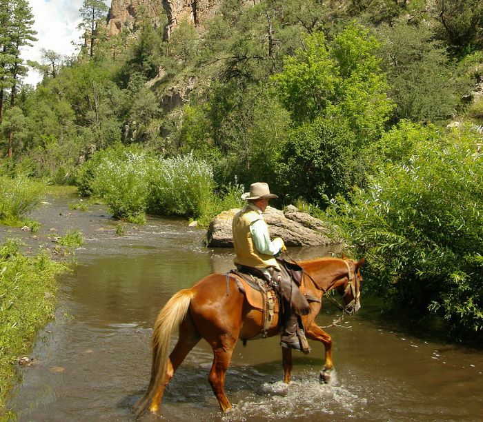 Gila and Blue Wilderness Rides