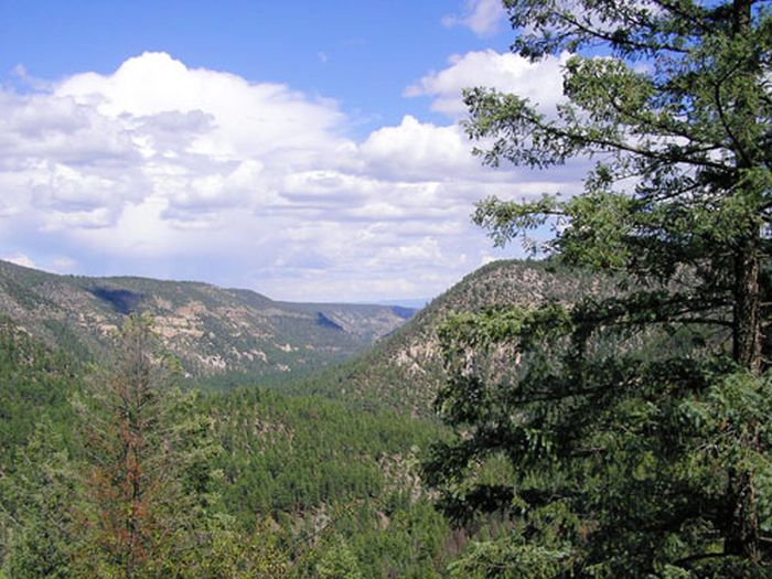 Chiricahua Apache Ride in the Gila Wilderness