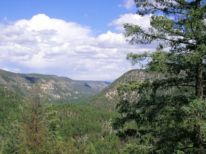 Chiricahua Apache Ride in the Gila Wilderness