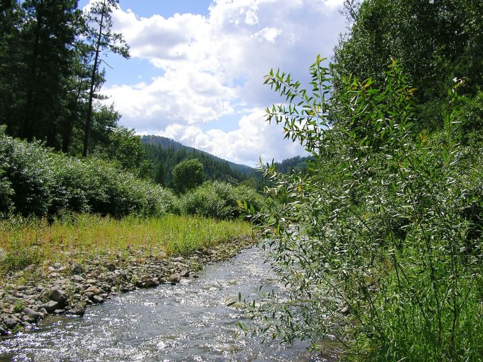Chiricahua Apache Ride in the Gila Wilderness