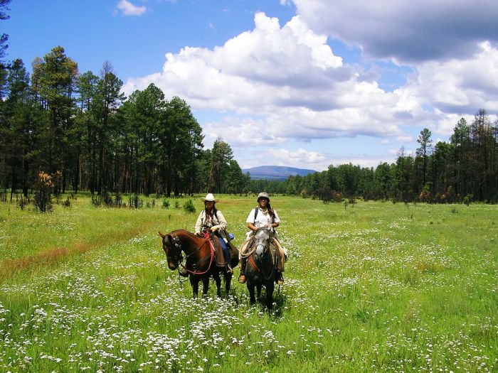 Chiricahua Apache Ride in the Gila Wilderness