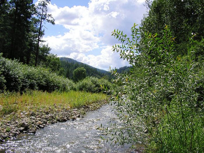 Chiricahua Apache Ride in the Gila Wilderness