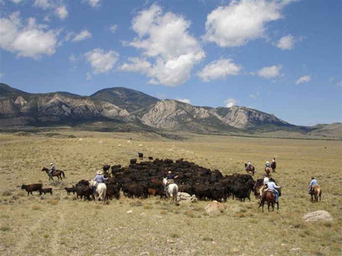 Lonesome Spur Ranch