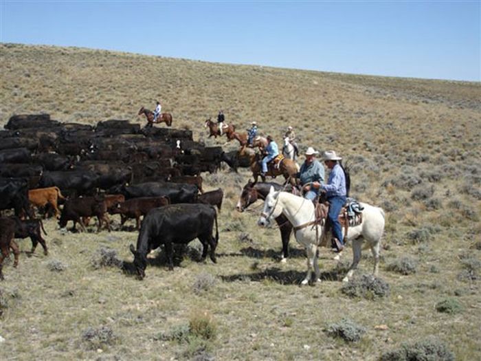 Lonesome Spur Ranch