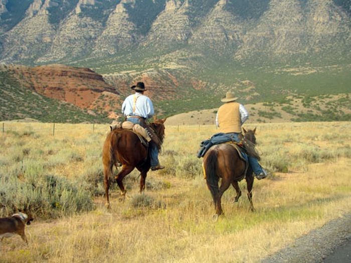 Dryhead Working Ranch