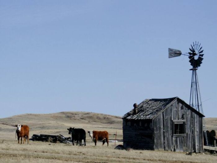 Devils Tower Working & Guest Ranch in Wyoming