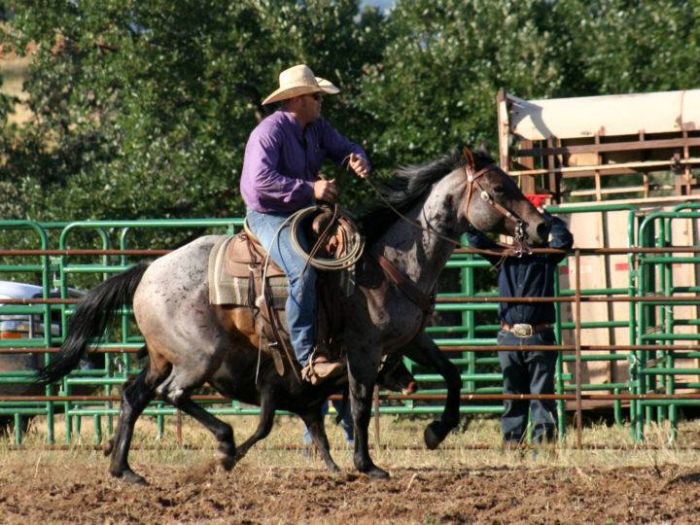 Devils Tower Working & Guest Ranch in Wyoming