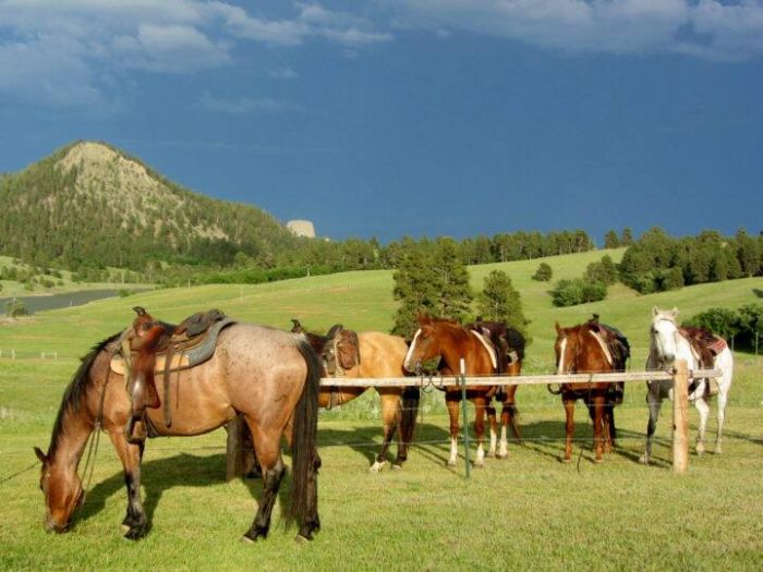 Devils Tower Working & Guest Ranch in Wyoming