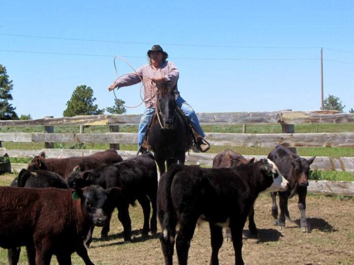 Devils Tower Working & Guest Ranch in Wyoming