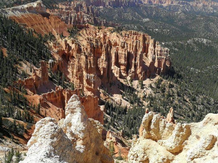 Devils Tower Working & Guest Ranch in Wyoming