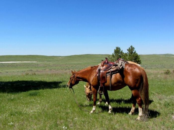 Devils Tower Working & Guest Ranch in Wyoming