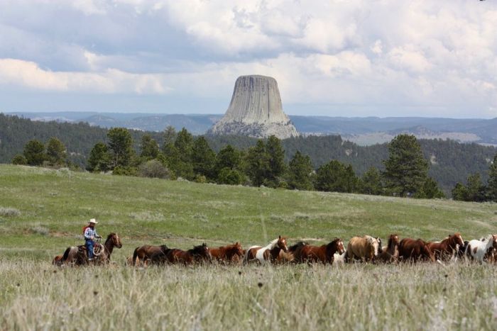 Devils Tower Working & Guest Ranch in Wyoming