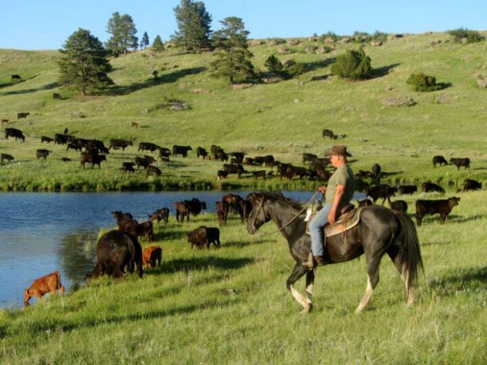 Devils Tower Working & Guest Ranch in Wyoming