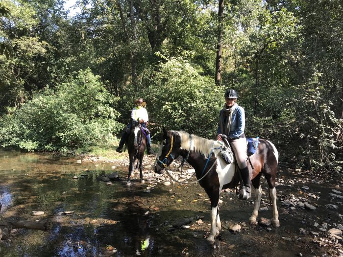 Mewar Trail