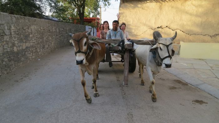 Mewar Trail