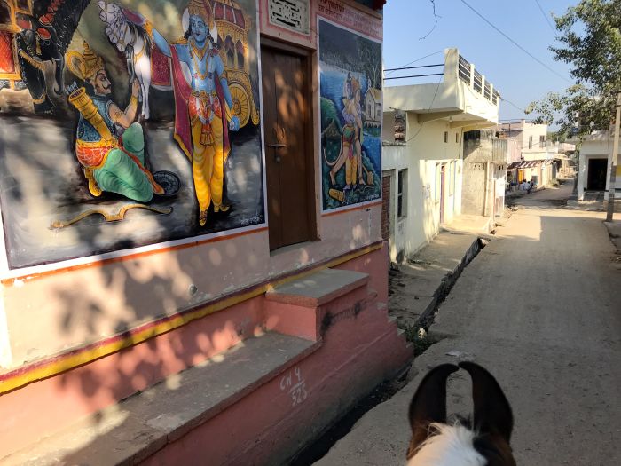 Mewar Trail