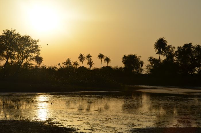 Mewar Trail