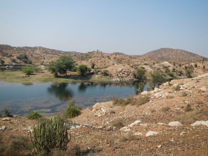 Mewar Trail