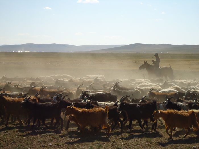 Central Mongolia and nomadic steppes