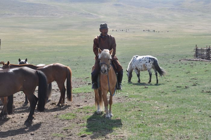 Central Mongolia and nomadic steppes