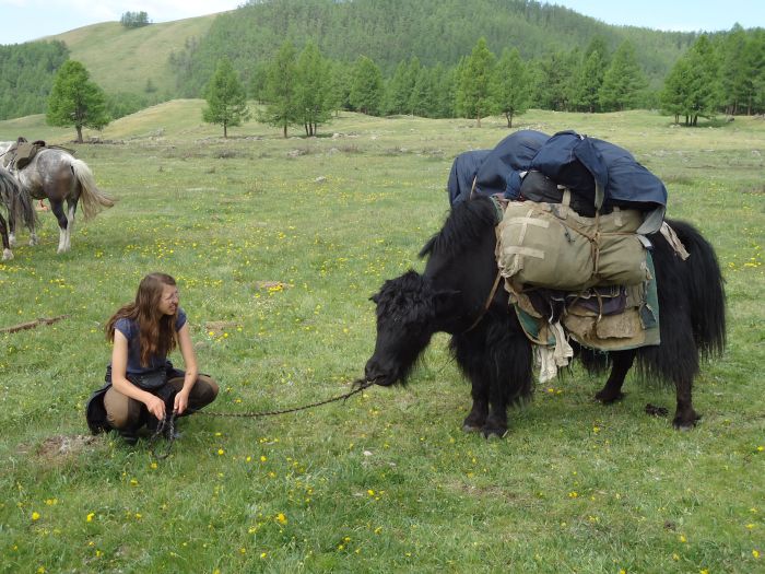 Central Mongolia and nomadic steppes