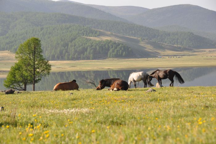 Central Mongolia and nomadic steppes