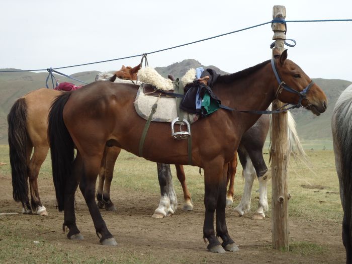 Central Mongolia and nomadic steppes