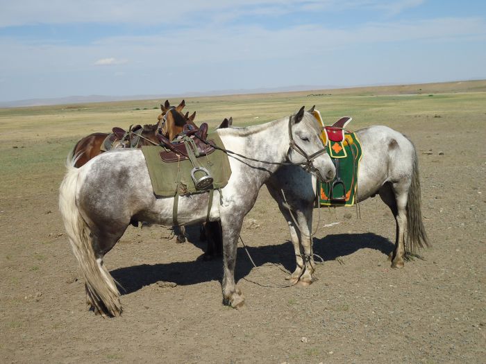 Altai Mountains: In the land of the eagles