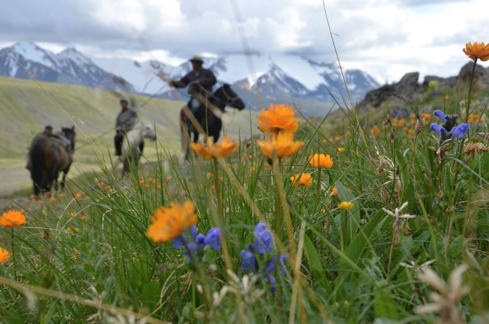 Altai Mountains: In the land of the eagles