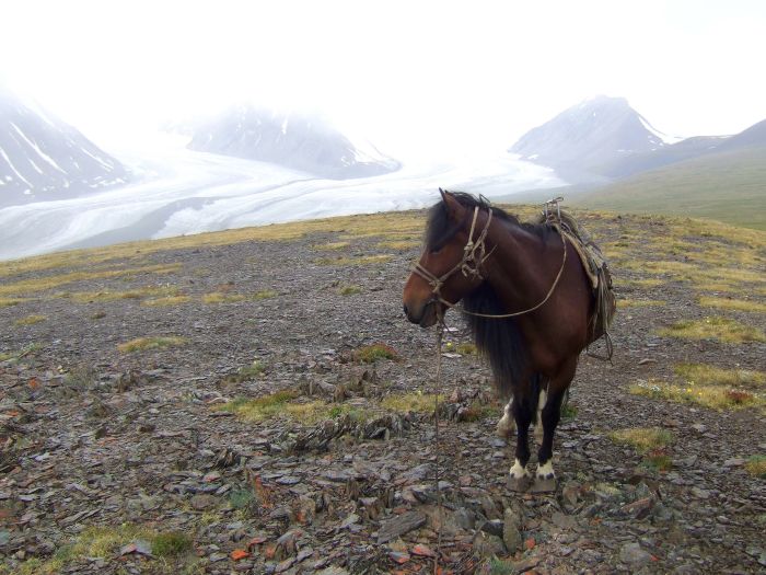 Altai Mountains: In the land of the eagles