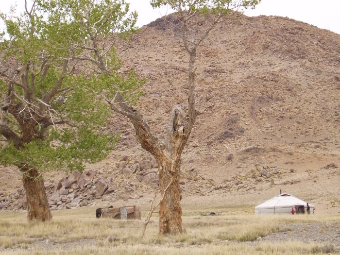 Altai Mountains: In the land of the eagles