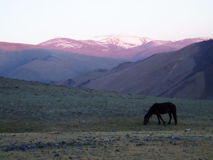 Altai Mountains: In the land of the eagles