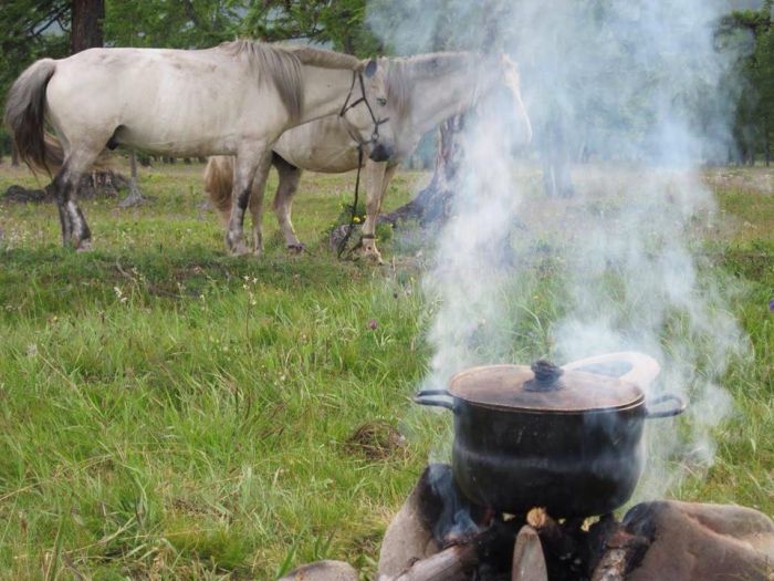 Altai Mountains: In the land of the eagles