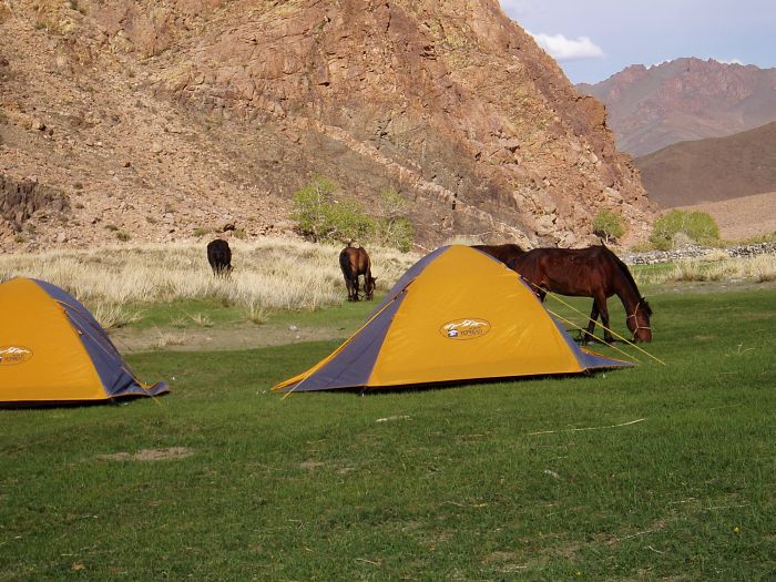 Altai Mountains: In the land of the eagles