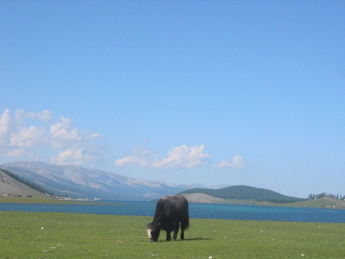 Altai Mountains: In the land of the eagles