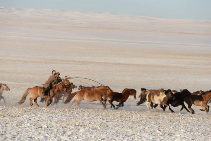 Winter magic in the Khenti Mountains
